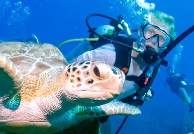 Scuba diving Phuket Thailand