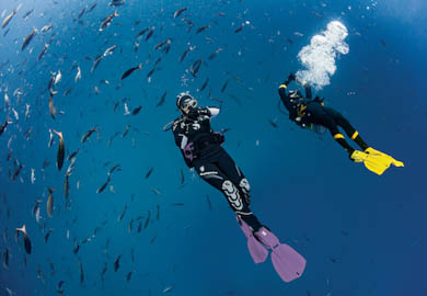 PADI Specialty Courses