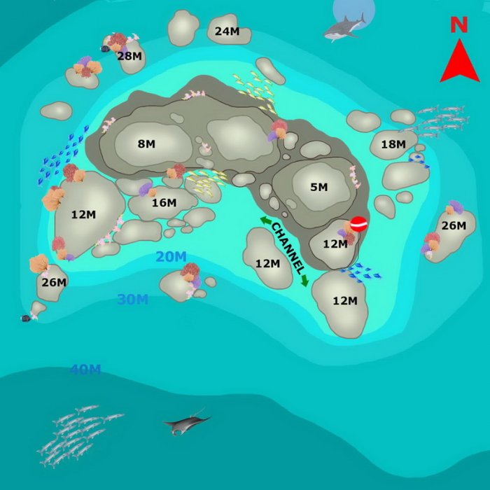 pastedGraphic_1.png