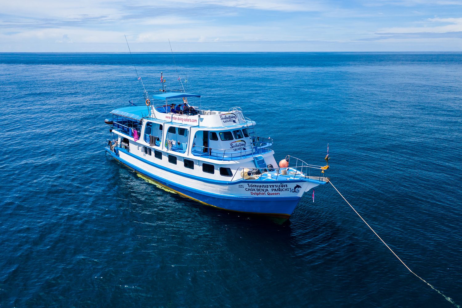 MV Dolphin Queen from above