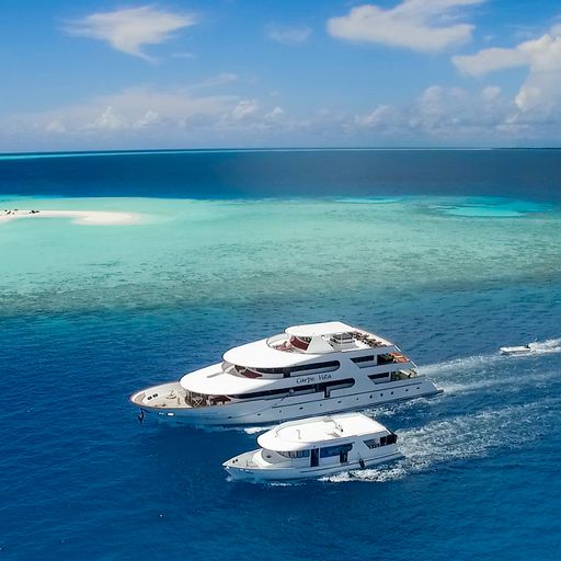 Maldives Liveaboard