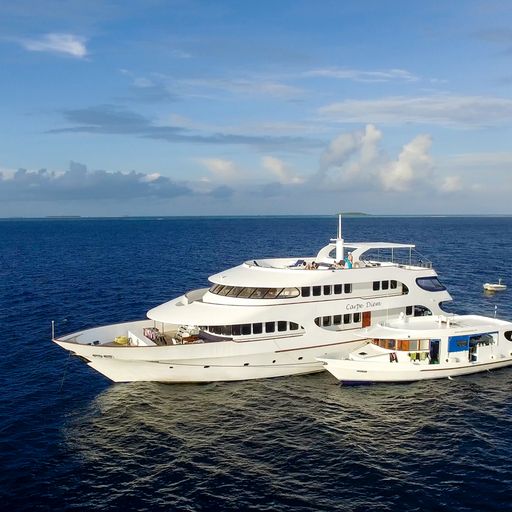 Maldives Liveaboard